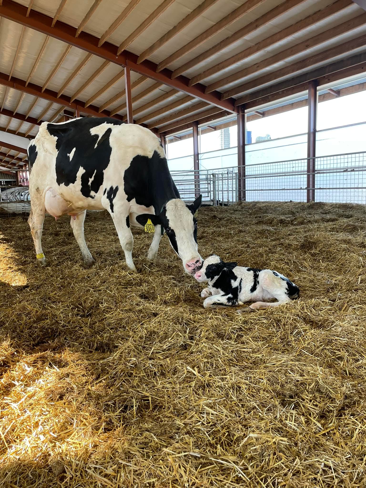 fb img 1768475747828